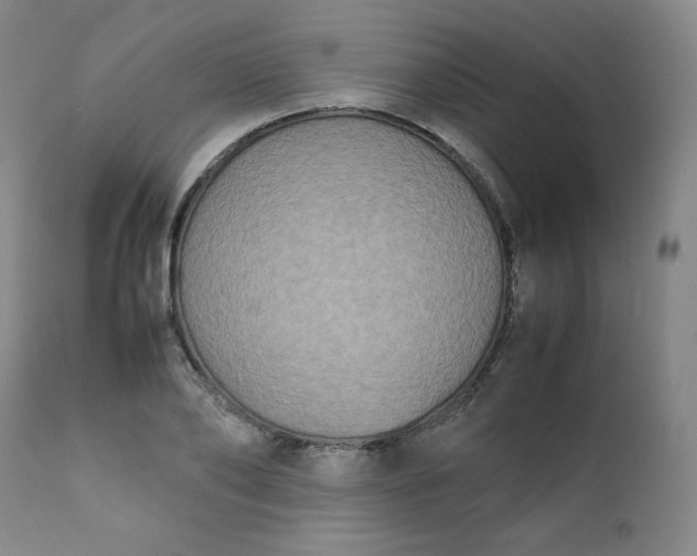 X0000112210886200908211516