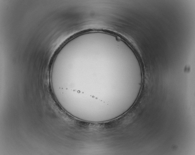 X0000112210887200908211516