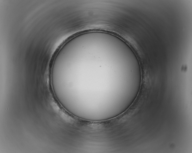 X0000112210888200908211516