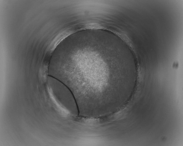 X0000112210889200908211516