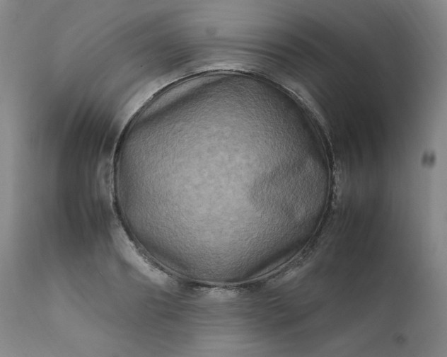 X0000112210890200908211516