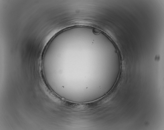 X0000112210891200908211516