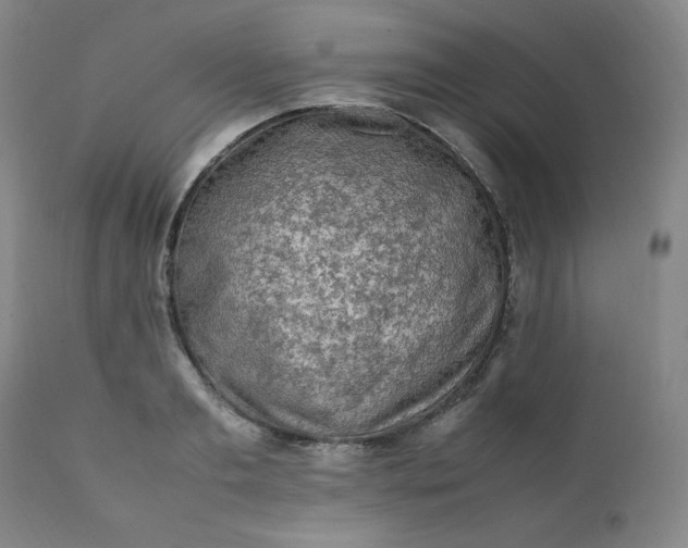 X0000112210893200908211516