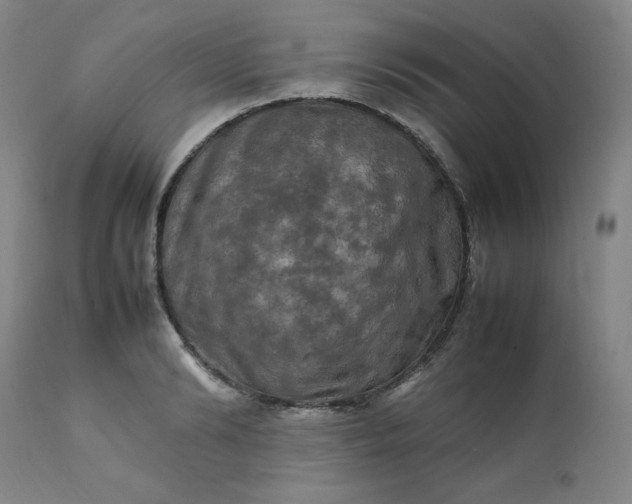 X0000112210894200908211516