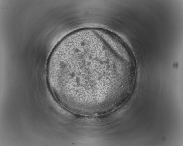 X0000112210895200908211516