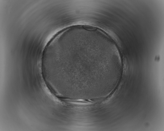 X0000112210896200908211516