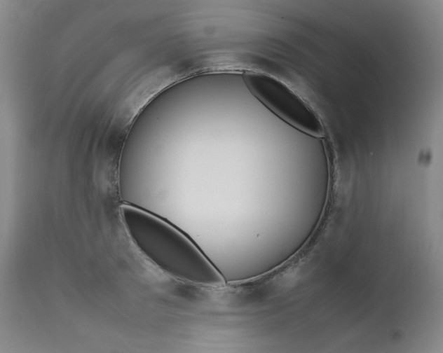 X0000112210897200908211516