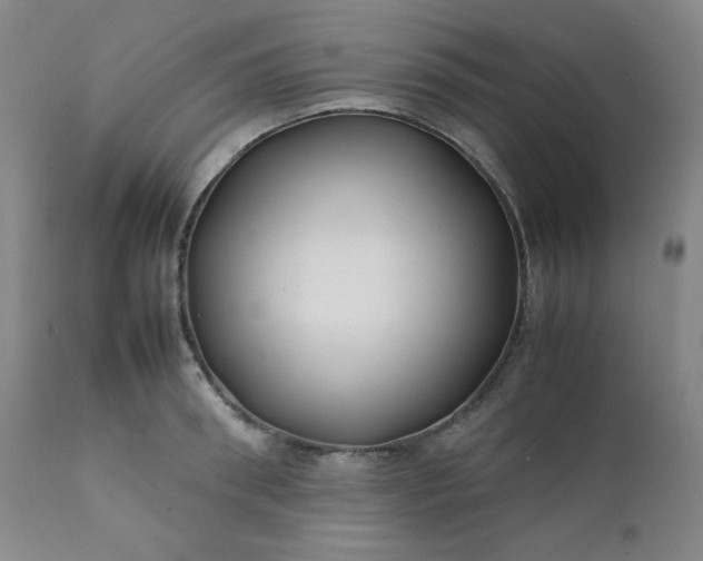 X0000112210898200908211516