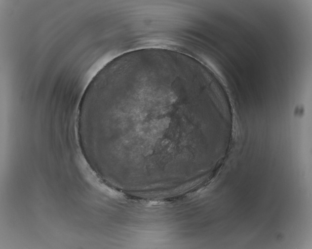 X0000112210899200908211516