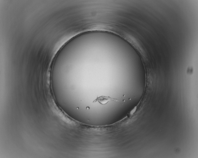 X0000112210900200908211516