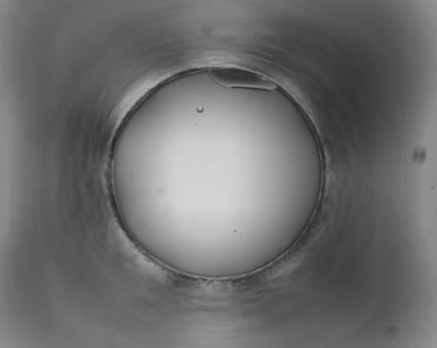 X0000112210901200908211515