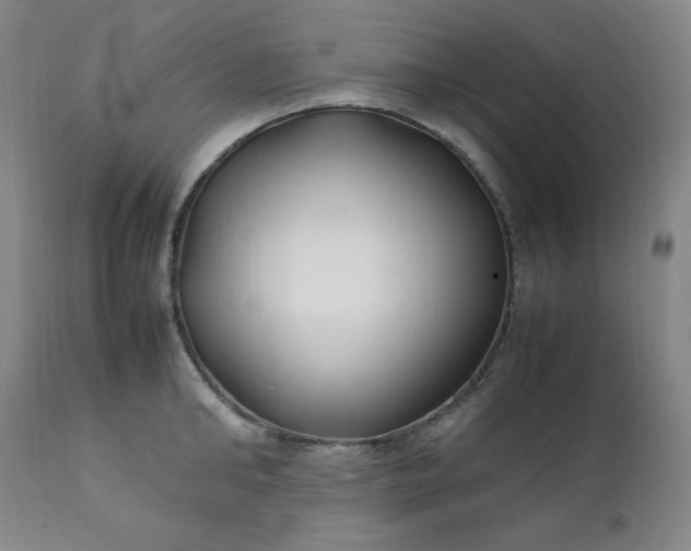 X0000112210902200908211515