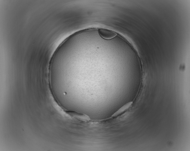 X0000112210903200908211515