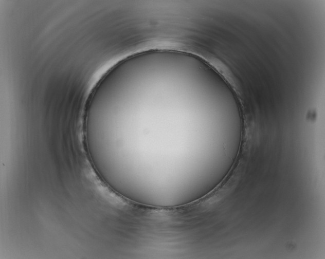 X0000112210904200908211515