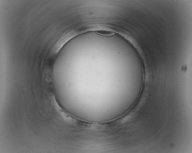 X0000112210905200908211515