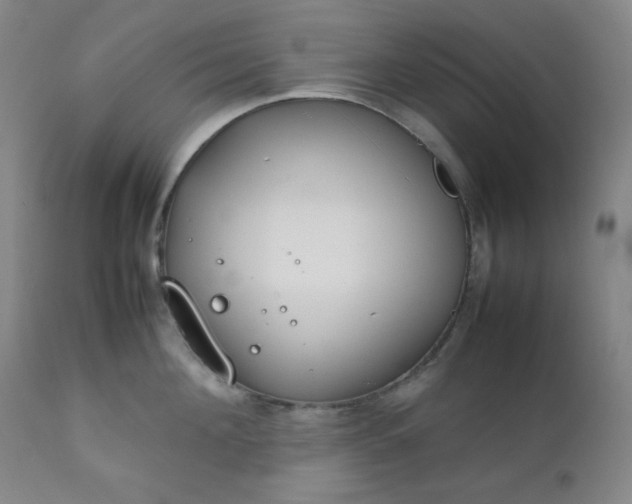 X0000112210908200908211515