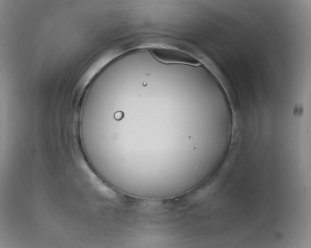 X0000112210909200908211515