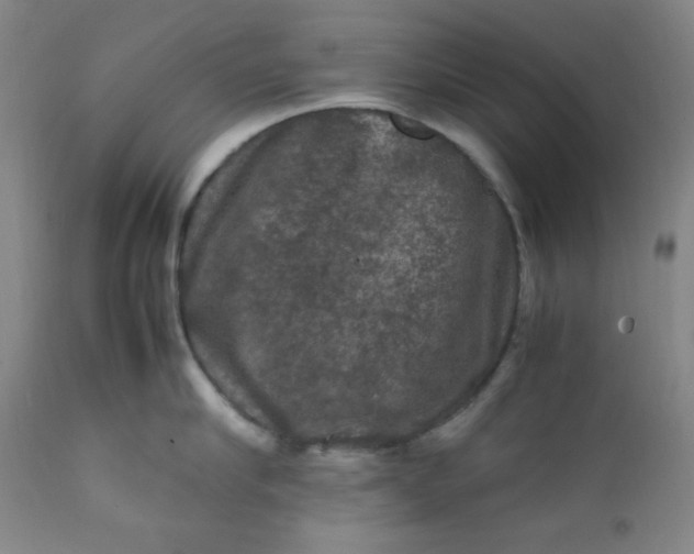 X0000112210910200908211515