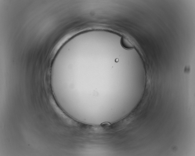 X0000112210911200908211515