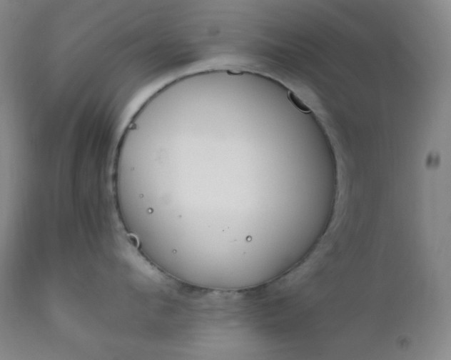 X0000112210912200908211515