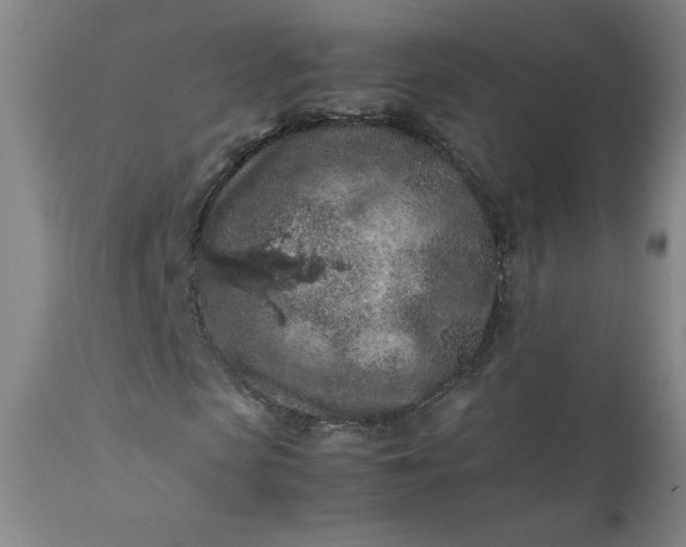 X0000112210913200908211515