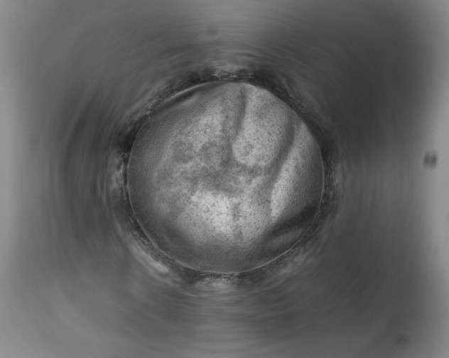 X0000112210914200908211515