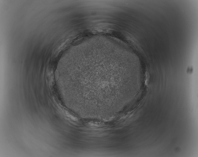 X0000112210915200908211515