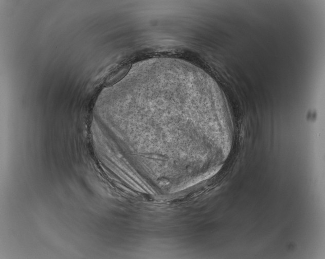 X0000112210916200908211515