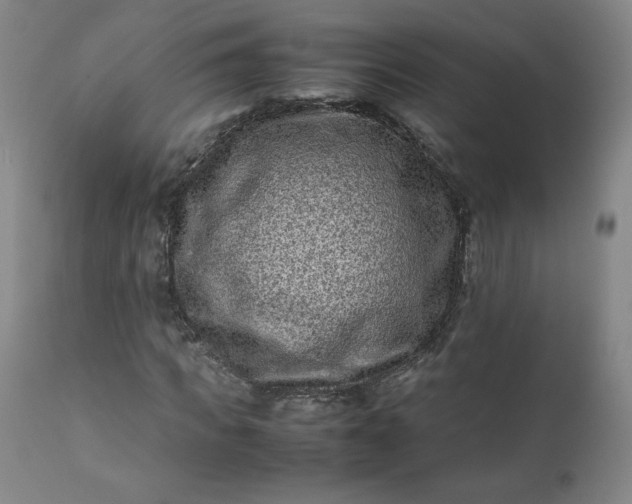 X0000112210917200908211515