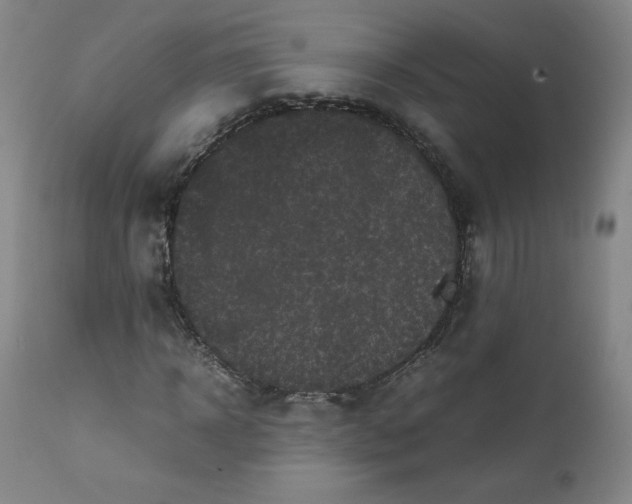 X0000112210918200908211515