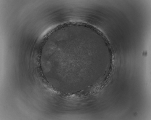 X0000112210919200908211515