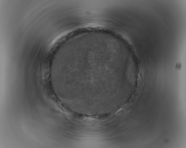 X0000112210920200908211515