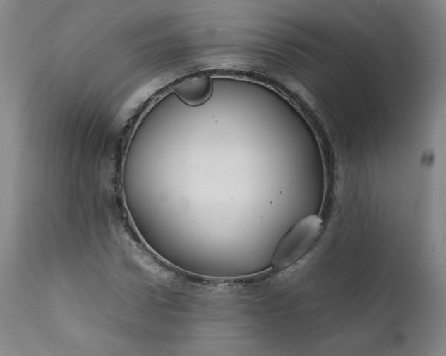 X0000112210922200908211515