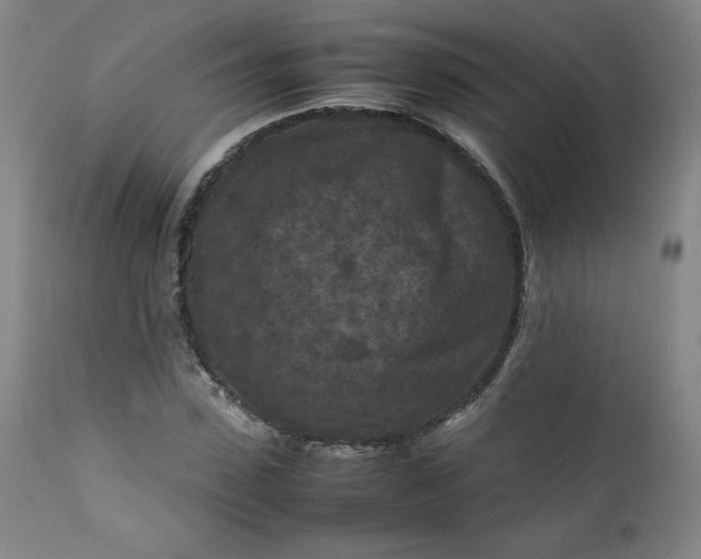 X0000112210923200908211515