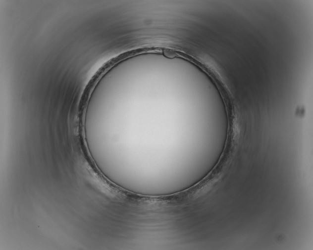 X0000112210924200908211515