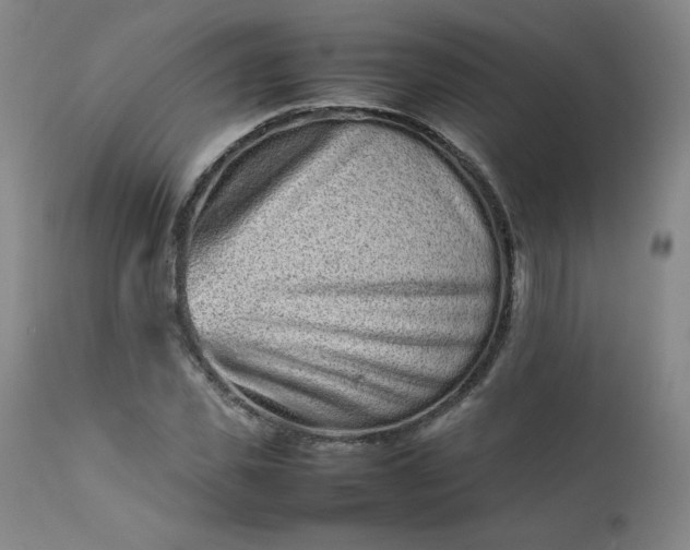 X0000112210925200908211515