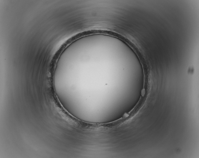 X0000112210926200908211515