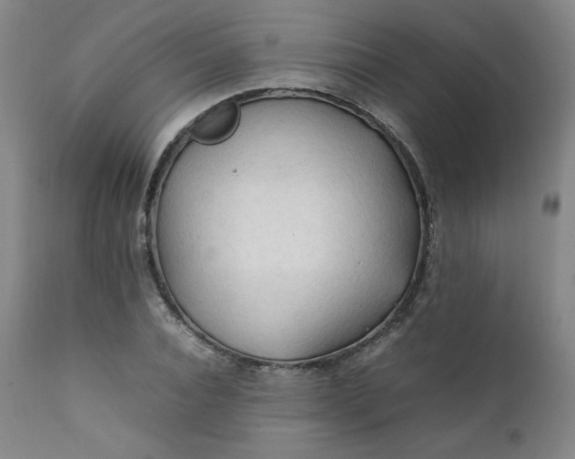 X0000112210928200908211515