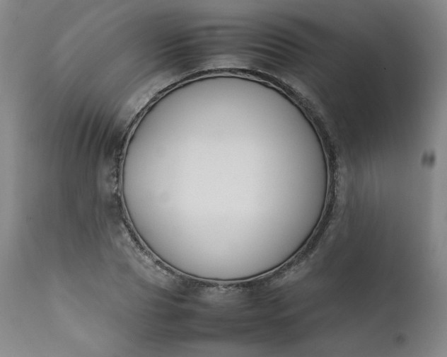 X0000112210929200908211515