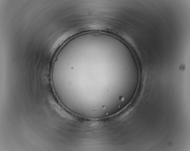 X0000112210930200908211515