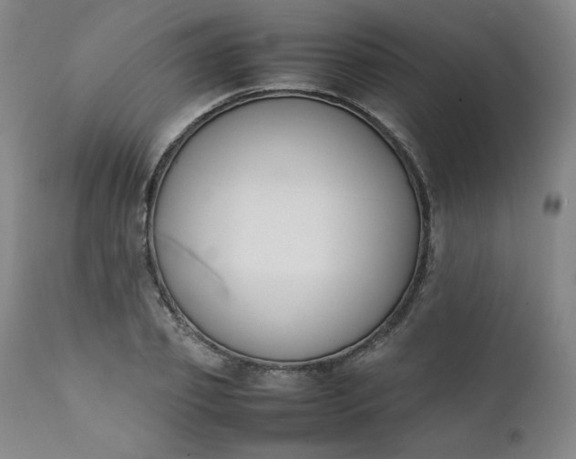 X0000112210933200908211515