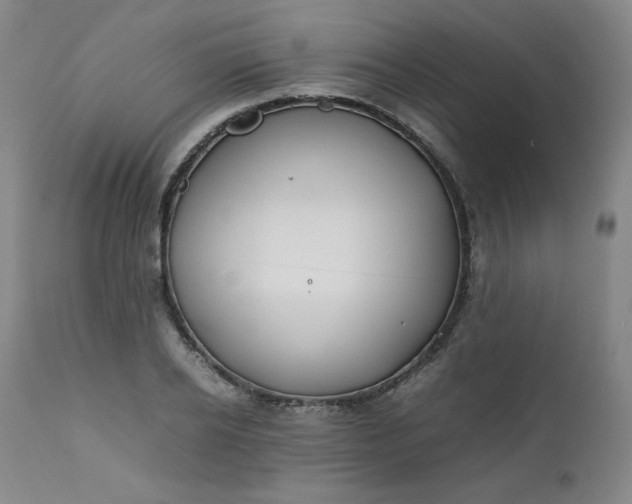 X0000112210934200908211515