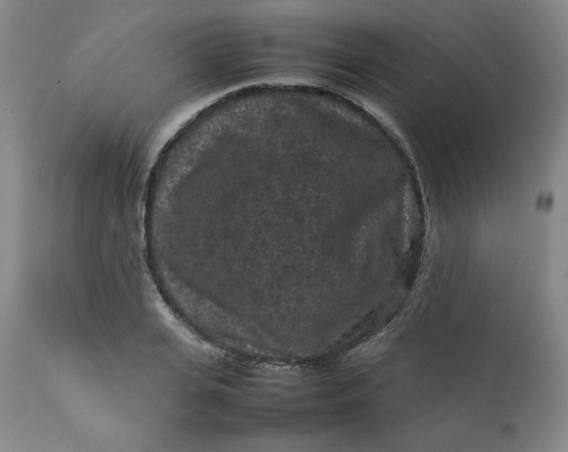 X0000112210935200908211515