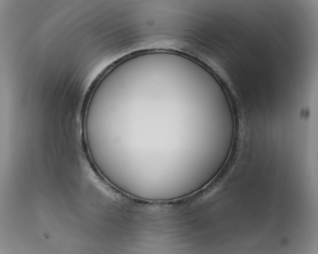 X0000112210936200908211515