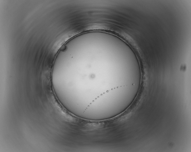 X0000112210937200908211515