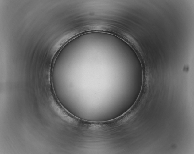 X0000112210938200908211515