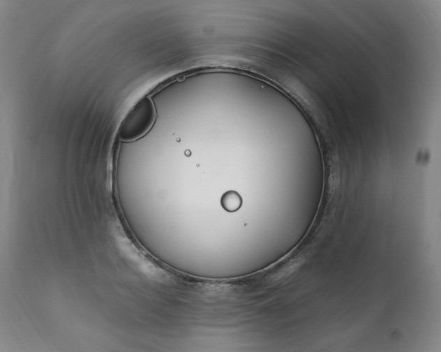 X0000112210940200908211515