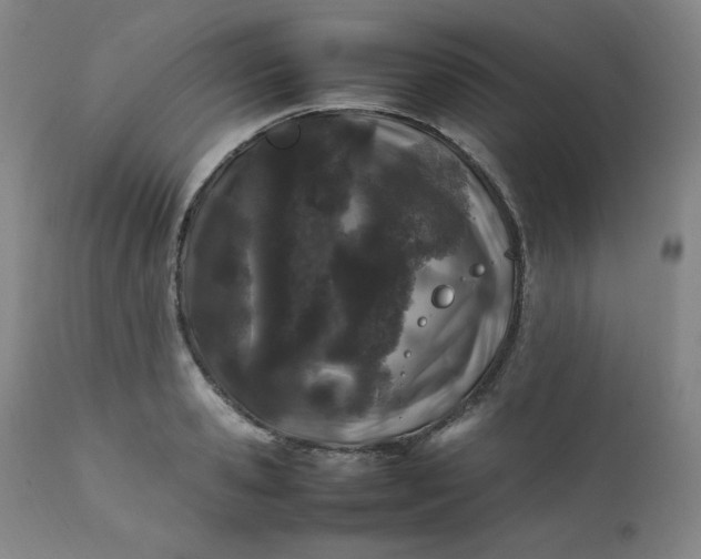 X0000112210941200908211515