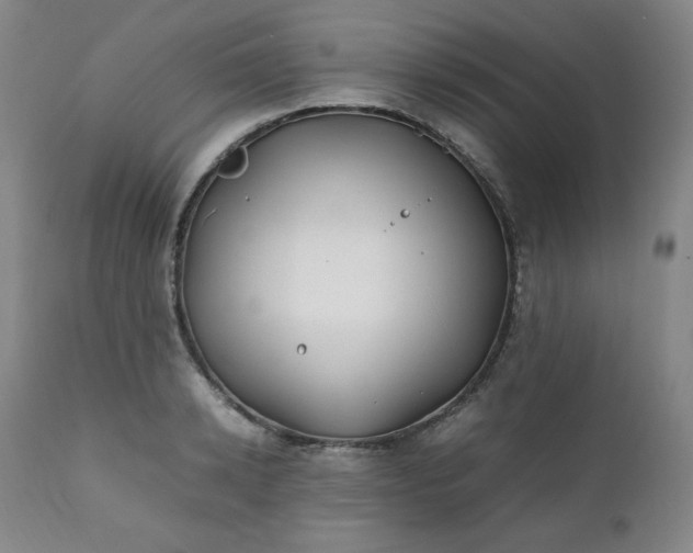 X0000112210942200908211515