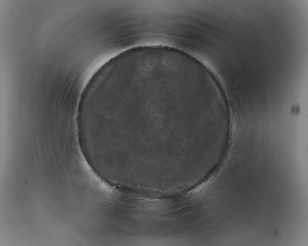 X0000112210943200908211515